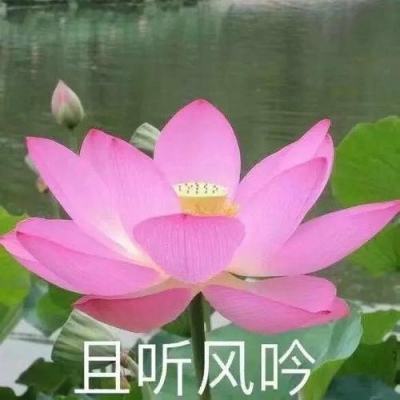 暮宝少年御妖录无限钻石版下载